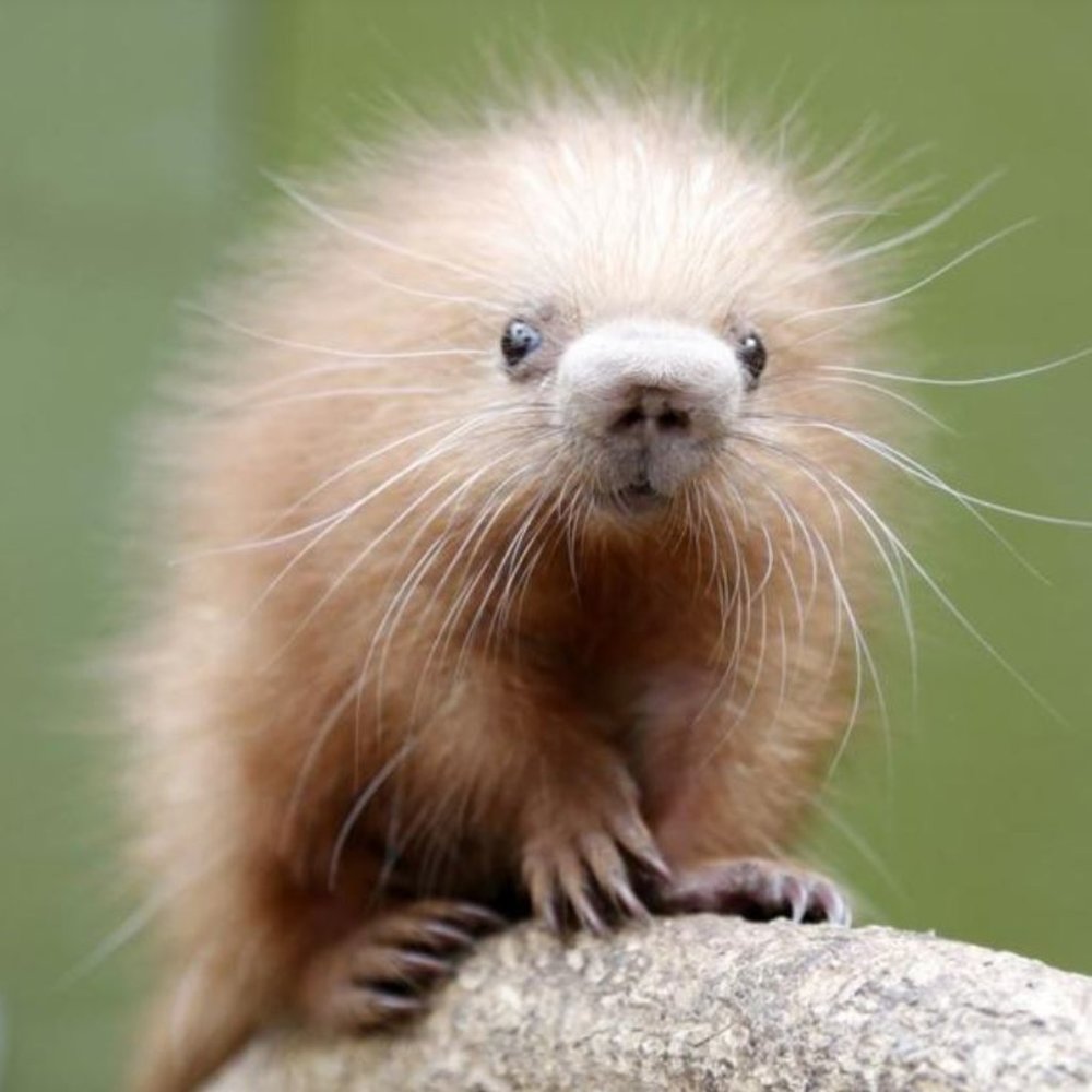 Glad to be selling on Poshmark!